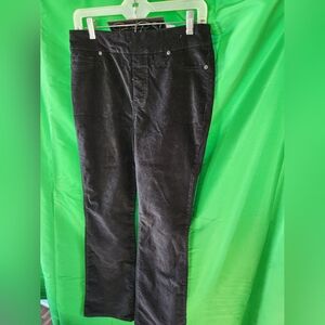 DG2 by Diane Gilman Stretch Velvet Pull-On Trouser